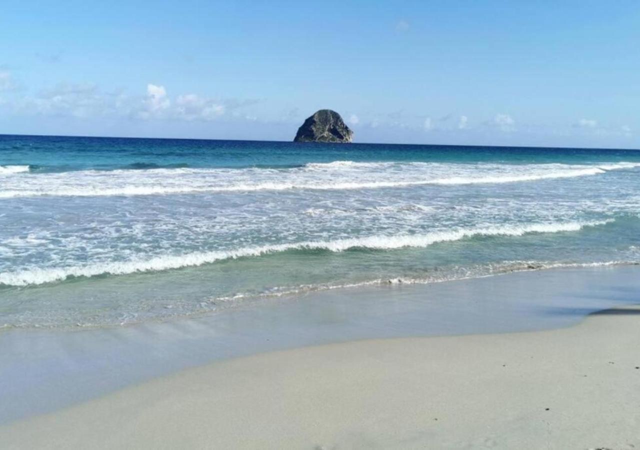 Villa Cocotier A 50 Metres De La Plage Le Diamant Ngoại thất bức ảnh